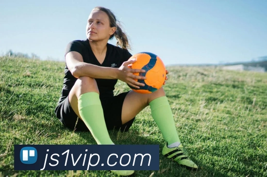 澳门金沙国际平台生态图